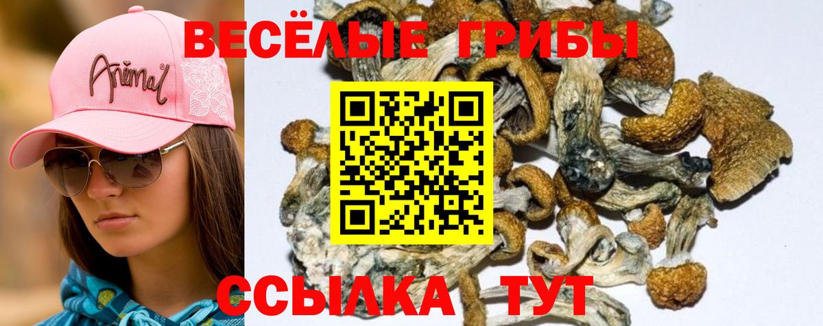 Псилоцибиновые грибы Psilocybine cubensis  Галлюциногенные грибы MAGIC MUSHROOMS  Южно-Сахалинск  Вход с VPN 