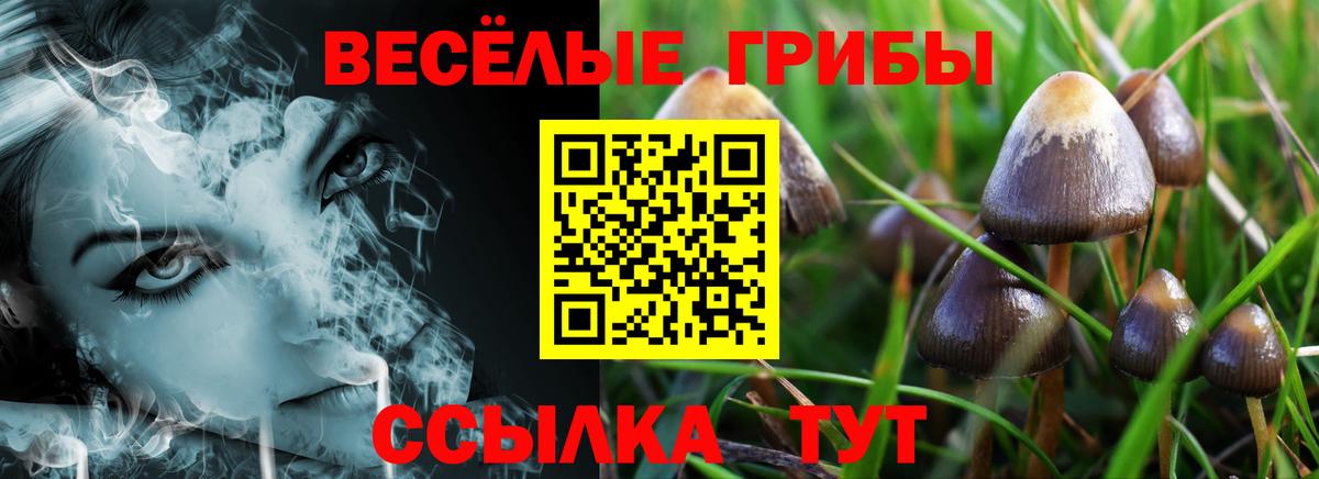 Псилоцибиновые грибы MAGIC MUSHROOMS Южно-Сахалинск
